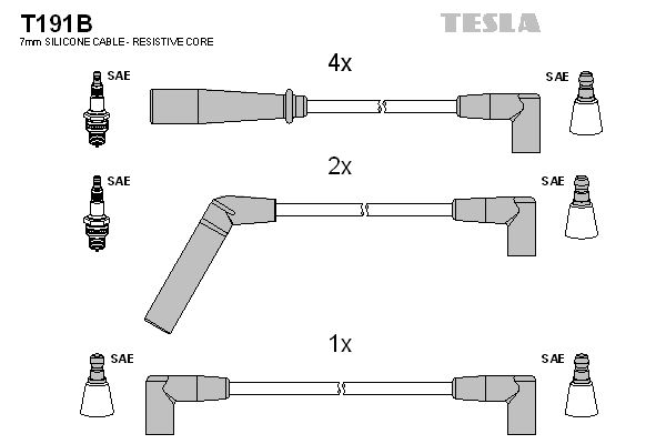 TESLA Комплект проводов зажигания T191B
