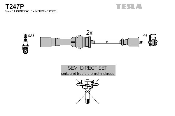 TESLA Комплект проводов зажигания T247P