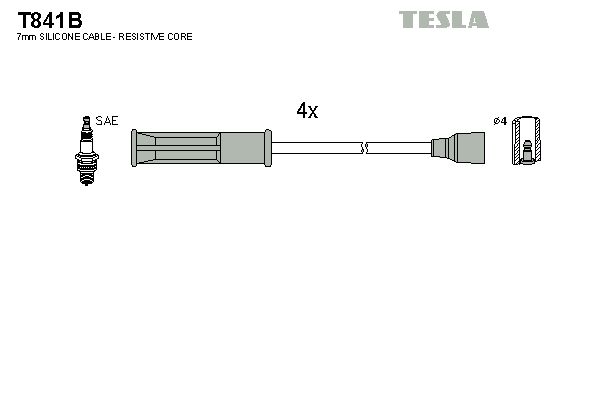 TESLA Süütesüsteemikomplekt T841B