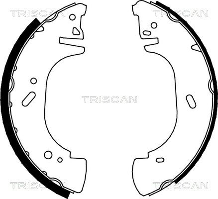 TRISCAN Комплект тормозных колодок 8100 10002
