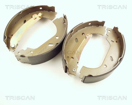 TRISCAN Комплект тормозных колодок 8100 10004