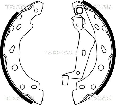 TRISCAN Комплект тормозных колодок 8100 10005