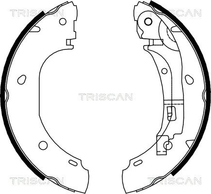 TRISCAN Комплект тормозных колодок 8100 10007