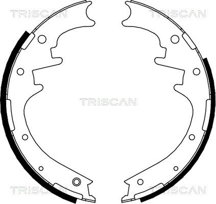 TRISCAN Комплект тормозных колодок 8100 10016