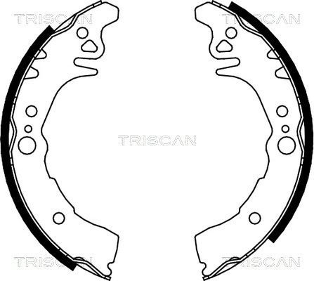 TRISCAN Piduriklotside komplekt 8100 10026