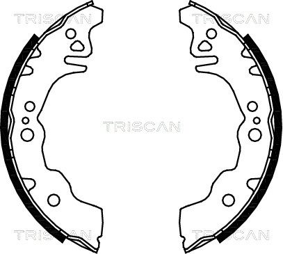 TRISCAN Комплект тормозных колодок 8100 10027