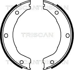 TRISCAN Комплект тормозных колодок, стояночная тормозная с 8100 10030
