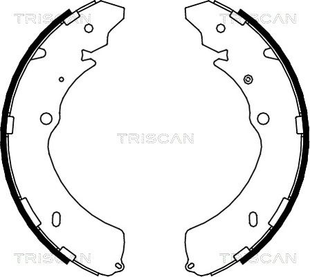 TRISCAN Комплект тормозных колодок 8100 10032