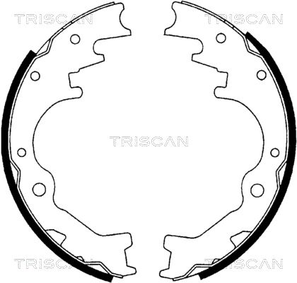 TRISCAN Комплект тормозных колодок 8100 10035