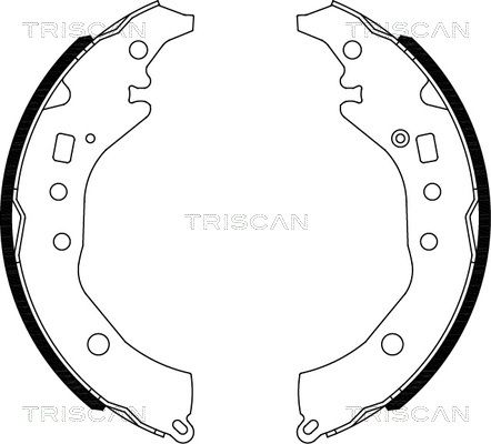 TRISCAN Комплект тормозных колодок 8100 10039