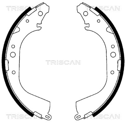 TRISCAN Комплект тормозных колодок 8100 10519