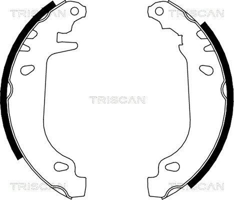 TRISCAN Комплект тормозных колодок 8100 10545