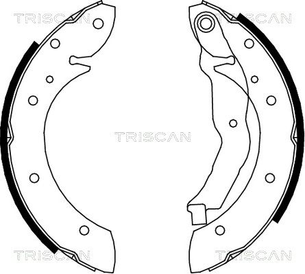 TRISCAN Комплект тормозных колодок 8100 10575