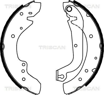TRISCAN Комплект тормозных колодок 8100 10577