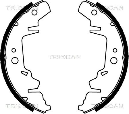 TRISCAN Комплект тормозных колодок 8100 10593
