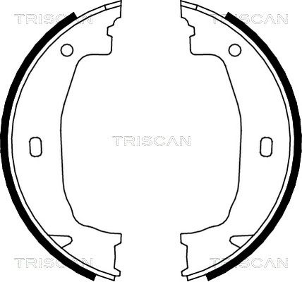 TRISCAN Комплект тормозных колодок, стояночная тормозная с 8100 11011