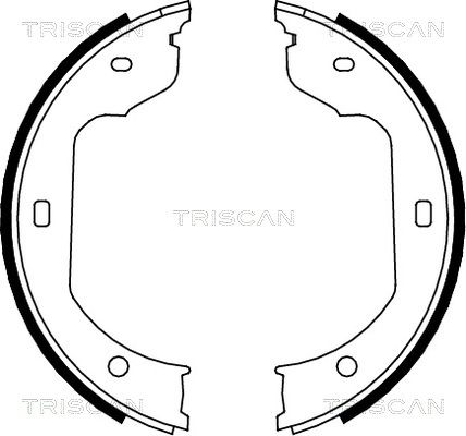TRISCAN Комплект тормозных колодок, стояночная тормозная с 8100 11012