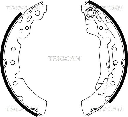 TRISCAN Комплект тормозных колодок 8100 13031