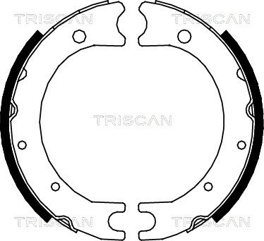TRISCAN Комплект тормозных колодок, стояночная тормозная с 8100 13036