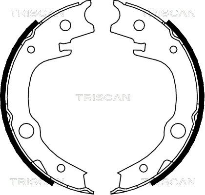 TRISCAN Комплект тормозных колодок, стояночная тормозная с 8100 13039