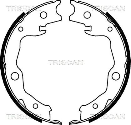 TRISCAN Комплект тормозных колодок, стояночная тормозная с 8100 13042