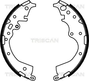 TRISCAN Комплект тормозных колодок 8100 13043
