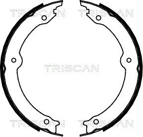TRISCAN Комплект тормозных колодок, стояночная тормозная с 8100 13046