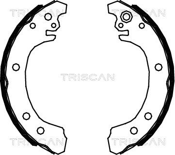 TRISCAN Комплект тормозных колодок 8100 13049