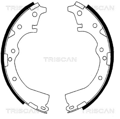 TRISCAN Комплект тормозных колодок 8100 13426
