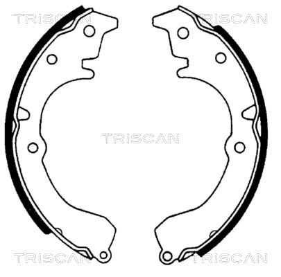 TRISCAN Комплект тормозных колодок 8100 13502