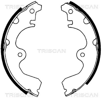 TRISCAN Комплект тормозных колодок 8100 13534