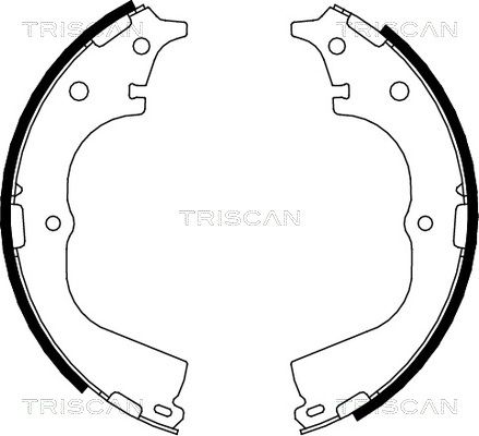 TRISCAN Piduriklotside komplekt 8100 13557