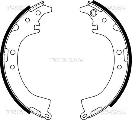 TRISCAN Комплект тормозных колодок 8100 13569