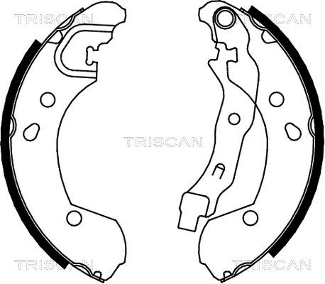 TRISCAN Комплект тормозных колодок 8100 14002