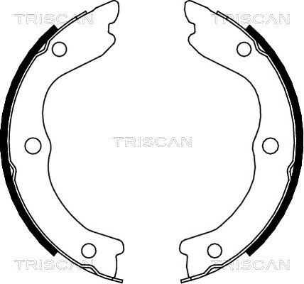 TRISCAN Комплект тормозных колодок, стояночная тормозная с 8100 14006