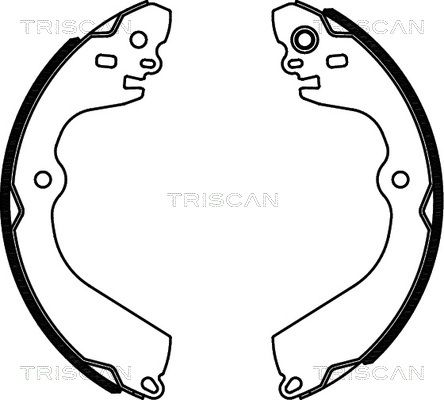 TRISCAN Комплект тормозных колодок 8100 14013