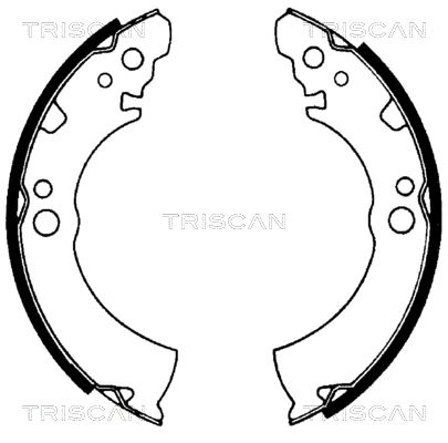 TRISCAN Piduriklotside komplekt 8100 14404