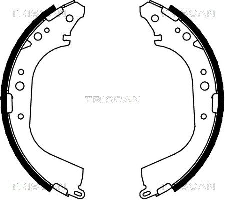 TRISCAN Комплект тормозных колодок 8100 14565