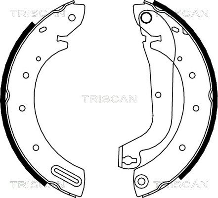 TRISCAN Комплект тормозных колодок 8100 14596