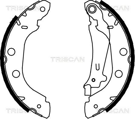 TRISCAN Комплект тормозных колодок 8100 14614
