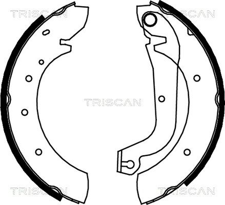 TRISCAN Комплект тормозных колодок 8100 15480