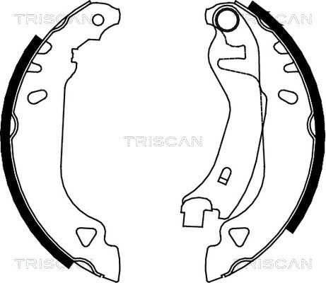 TRISCAN Комплект тормозных колодок 8100 15482