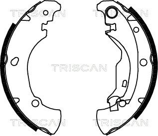 TRISCAN Комплект тормозных колодок 8100 15625