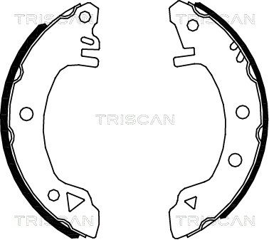 TRISCAN Комплект тормозных колодок 8100 16375
