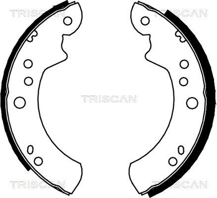 TRISCAN Комплект тормозных колодок 8100 16443