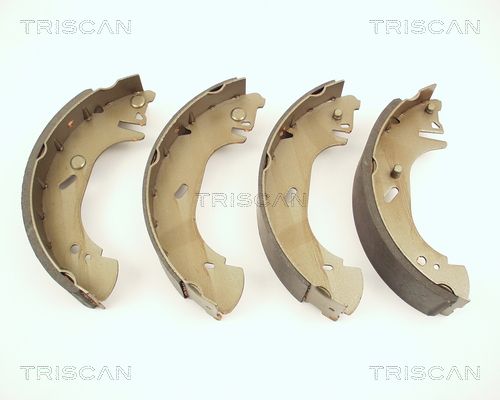 TRISCAN Комплект тормозных колодок 8100 16571