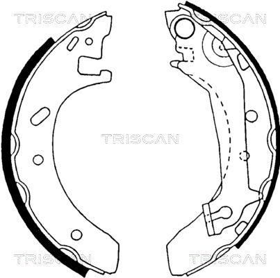 TRISCAN Комплект тормозных колодок 8100 16574
