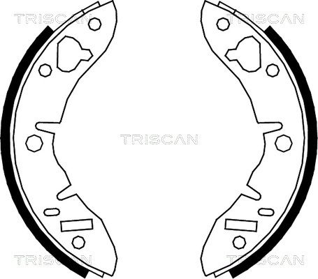 TRISCAN Комплект тормозных колодок 8100 17003
