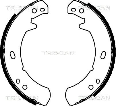 TRISCAN Комплект тормозных колодок, стояночная тормозная с 8100 17012