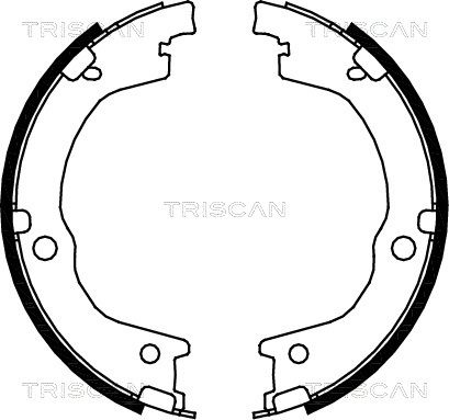 TRISCAN Piduriklotside komplekt,seisupidur 8100 18006